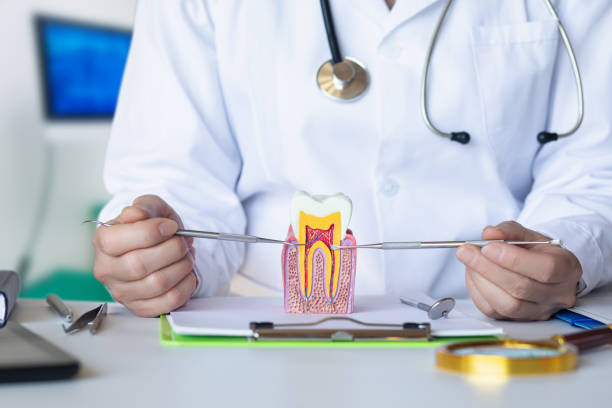 Best Urgent Tooth Repair  in Haven, KS